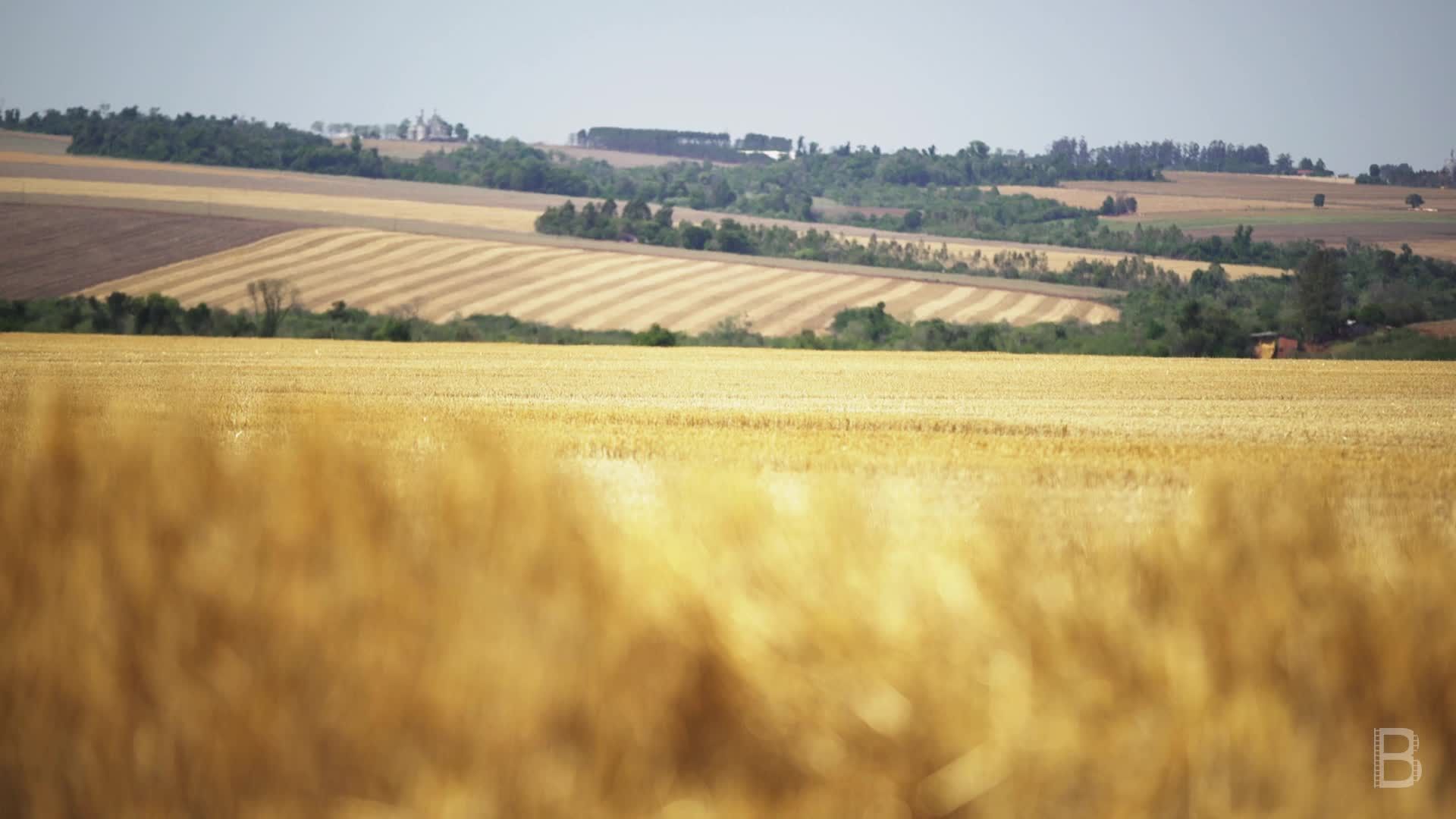 BELLA Presents: daily bello S1 Ep44 Peaceful Field