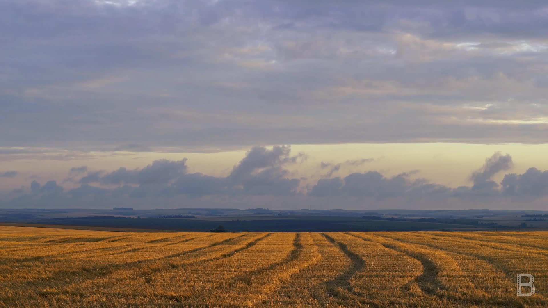 BELLA Presents: daily bello S1 Ep55 Time Passing at Farm Field