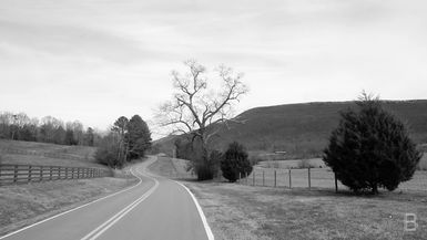 BELLA Presents: daily bello S1 Ep113 Calmness in a Rural Road