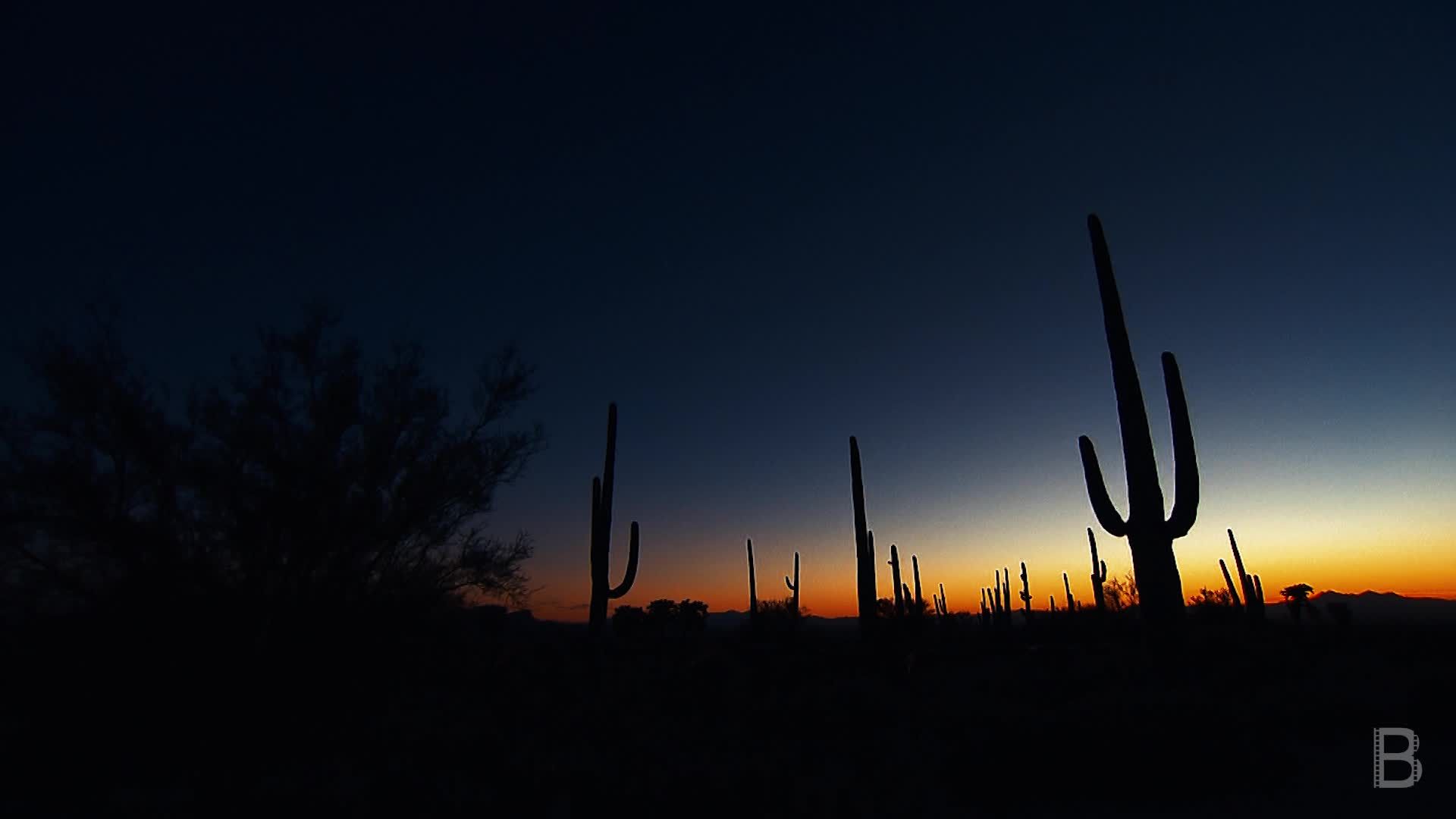 BELLA Presents: daily bello S1 Ep121 Rolling Cactus Sunset