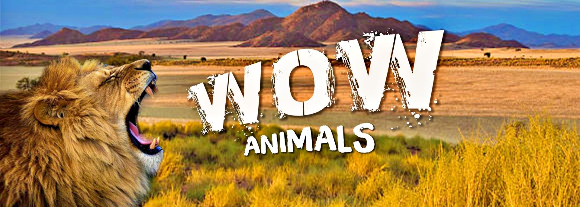 Wow Animals