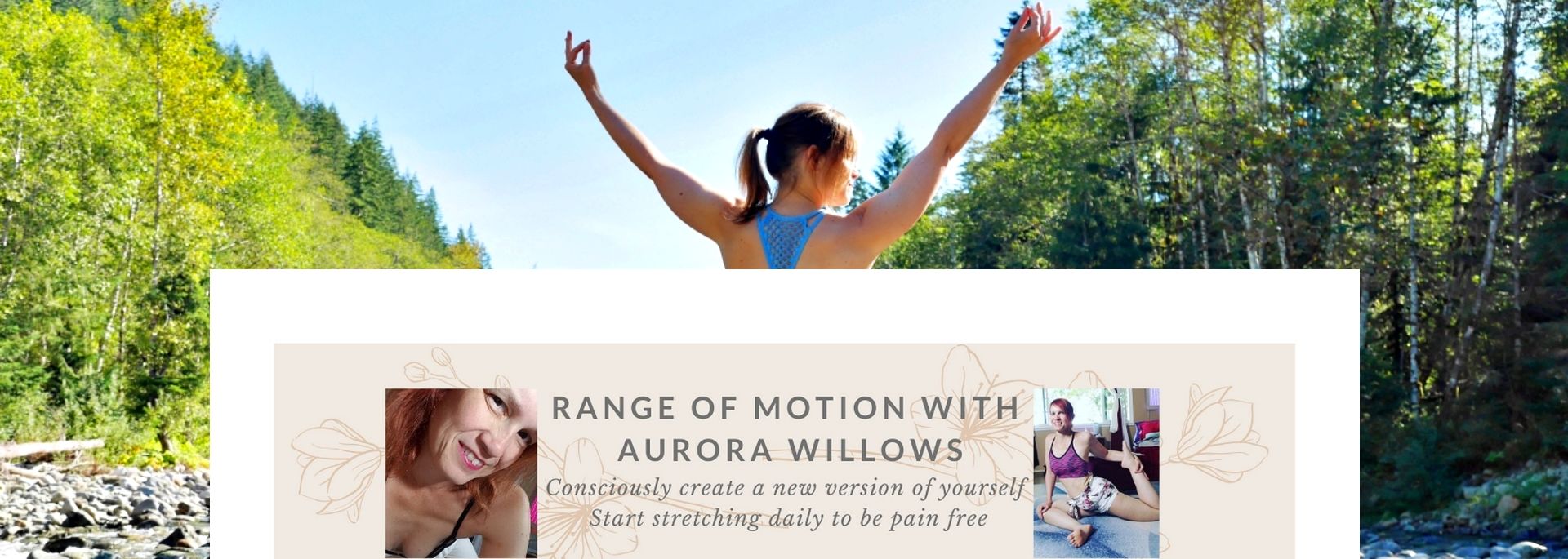Aurora Willows