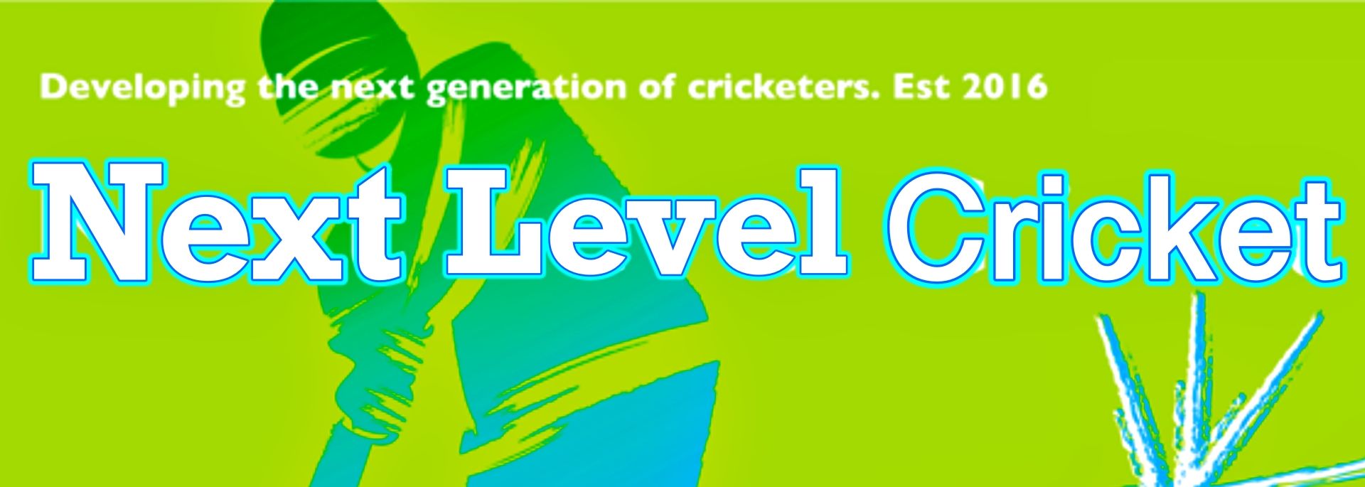 Next Level Cricket