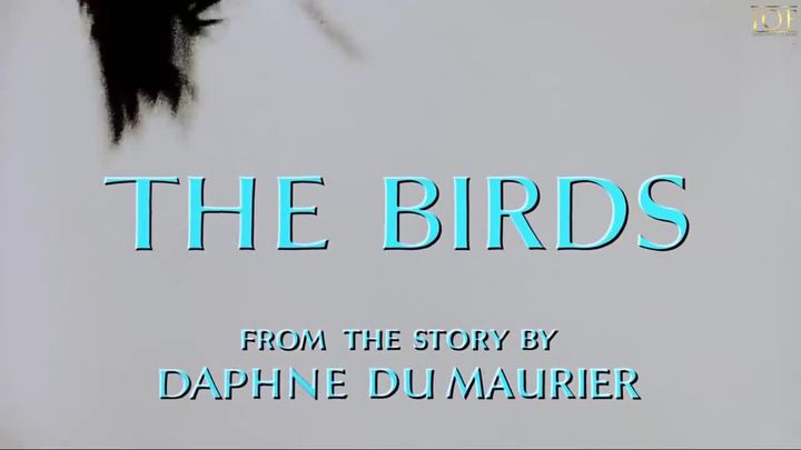 The Birds
