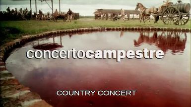 Country Concert