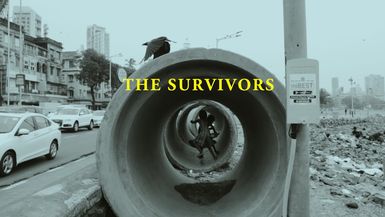 The Survivors