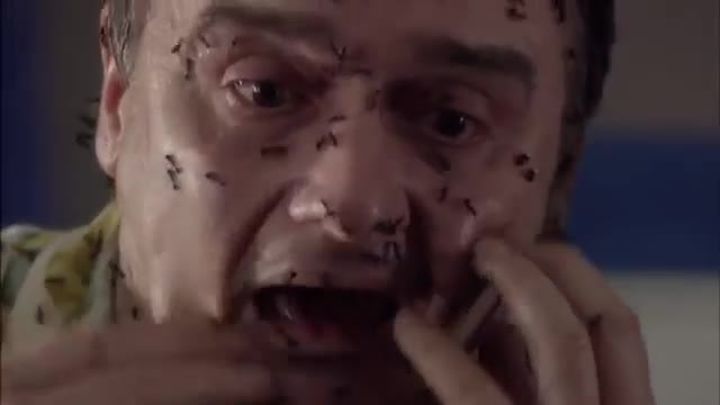 Ants on a Plane 