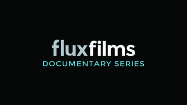 Flux Projects 