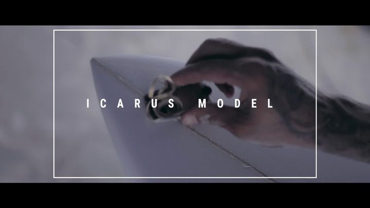 ICARUS