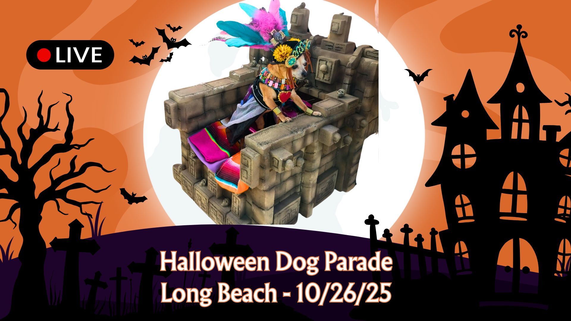 Night Owl Network - Halloween Dog Parade - Live Stream