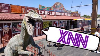 Mr. X News Network (6-23-25)