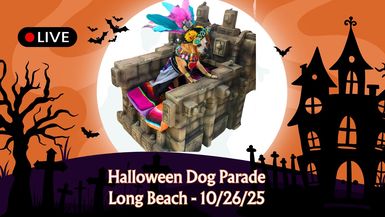 Night Owl Network - Halloween Dog Parade - Live Stream