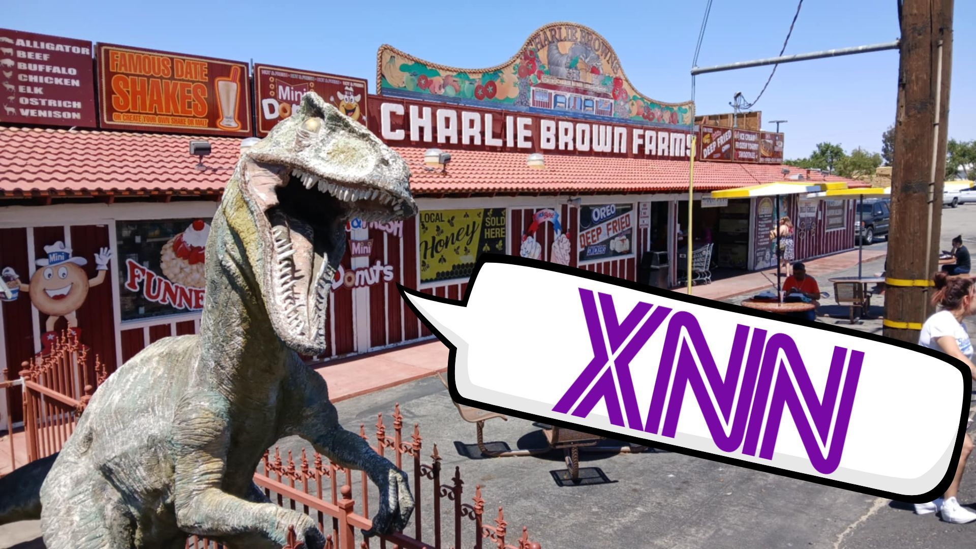 Mr. X News Network (6-23-25)