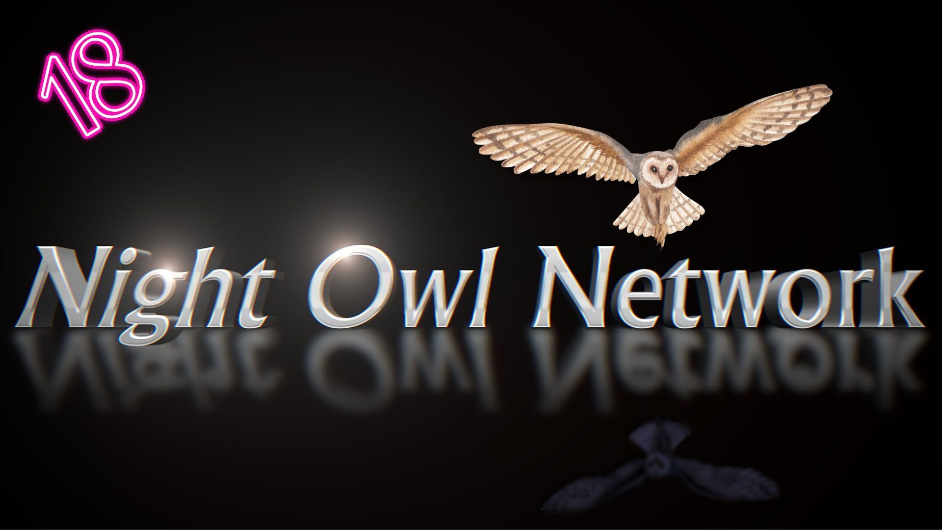 Night Owl Network #18 - Feb 26, 2026