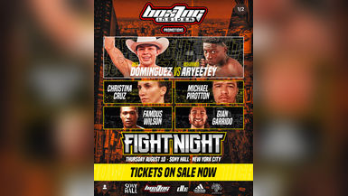 Boxing Insider Fight Night 06