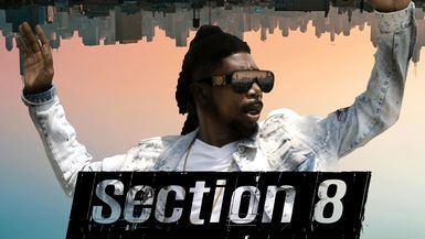 Section 8