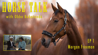 Horse Talk S1 E1 