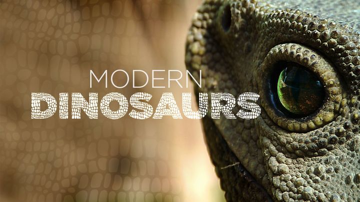 Modern Dinosaurs S1 E1