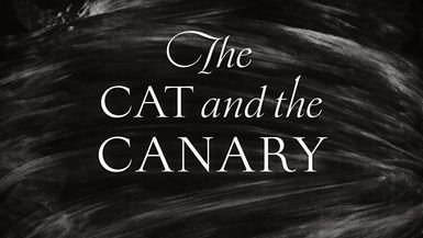 The Cat And The Canary