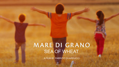 Sea Of Wheat