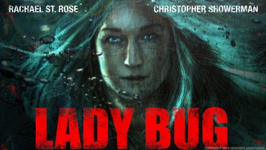 Lady Bug