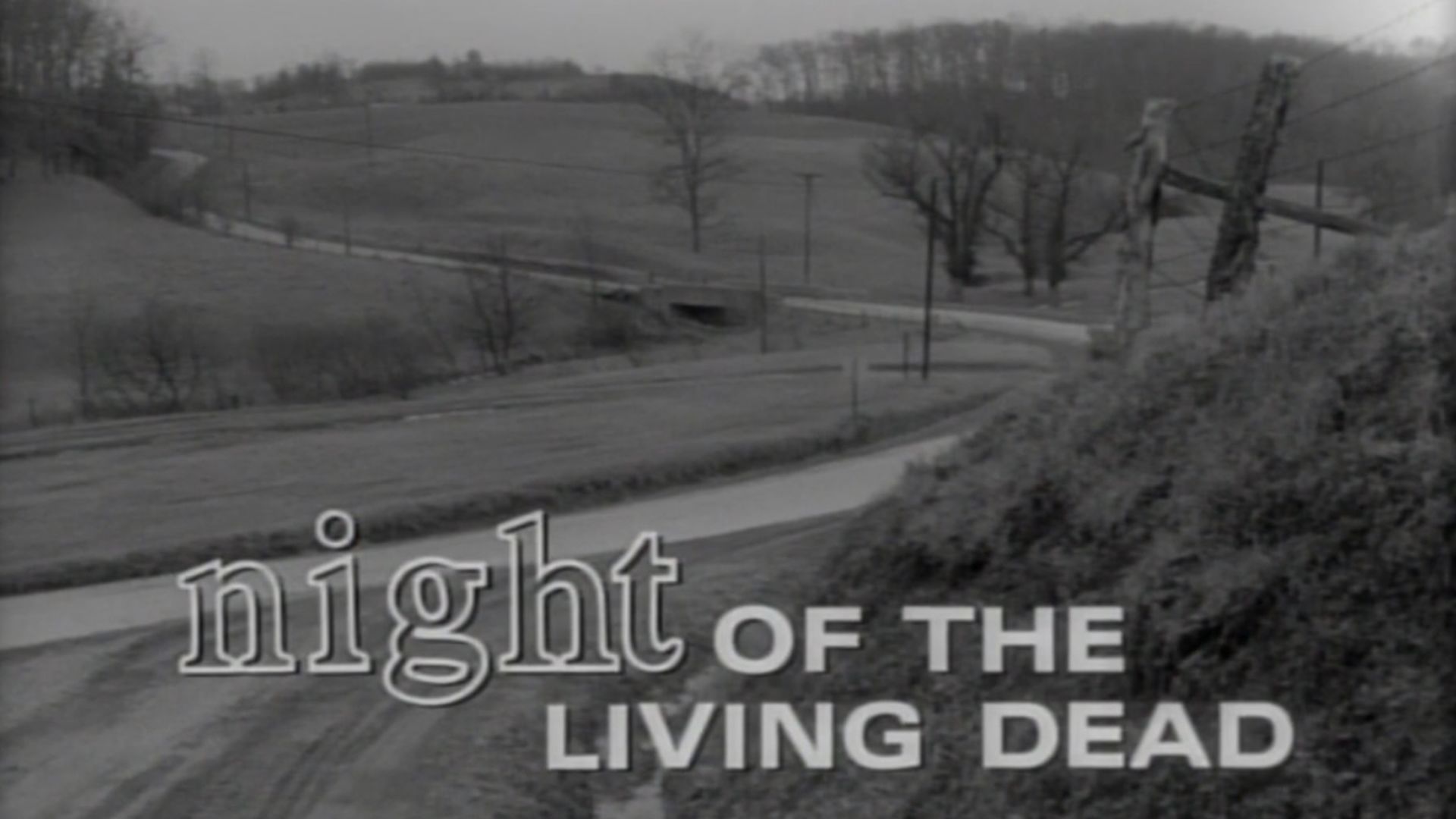 The Night Of The Living Dead