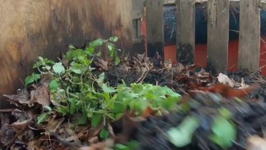 Sample Reporter Video 2