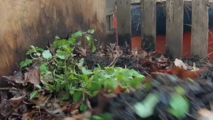 Sample Reporter Video 2