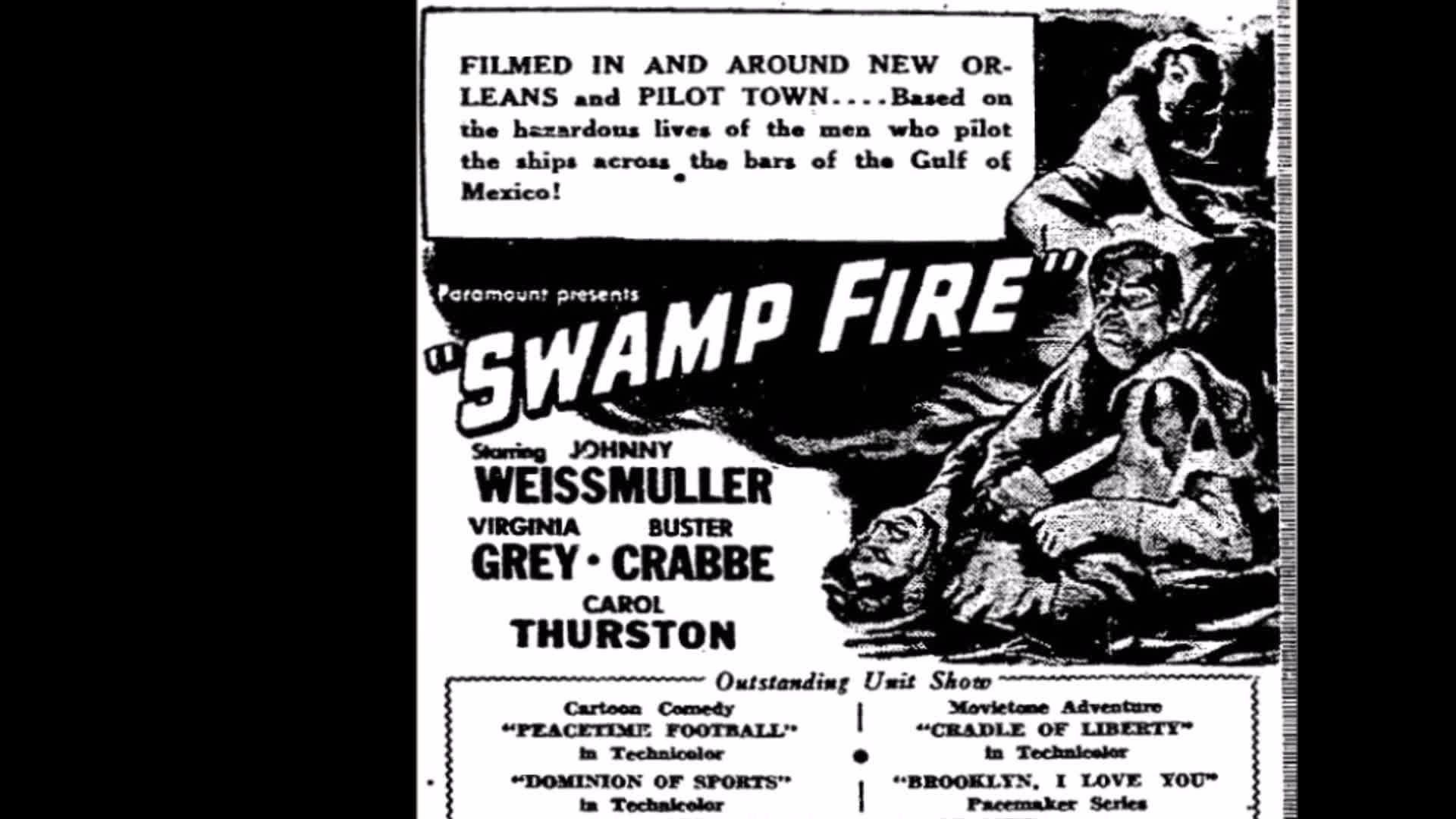 Swamp Fire