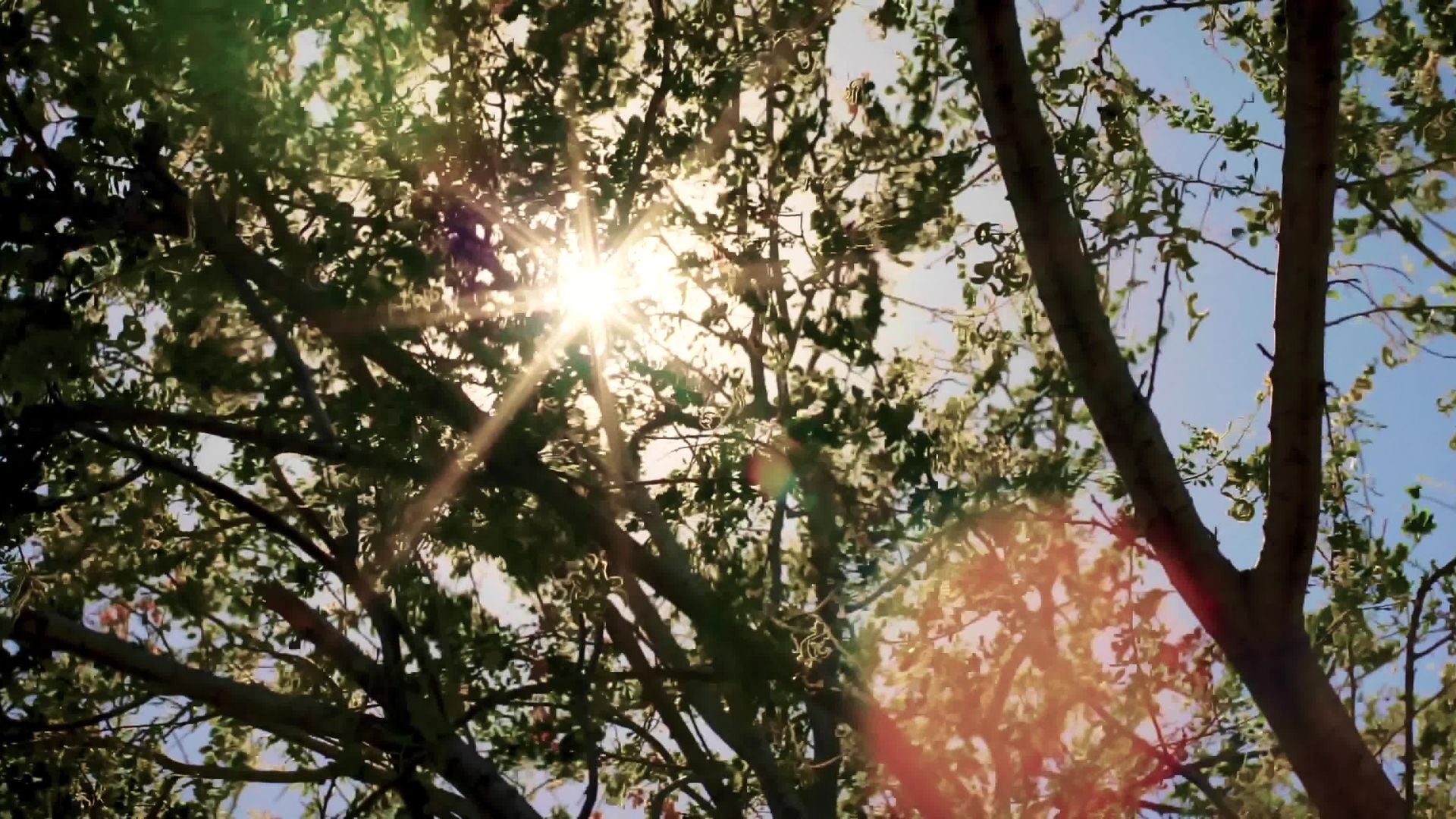 San Esteban: Freedom, Mysticism and Nopales