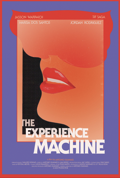 The Experience Machine