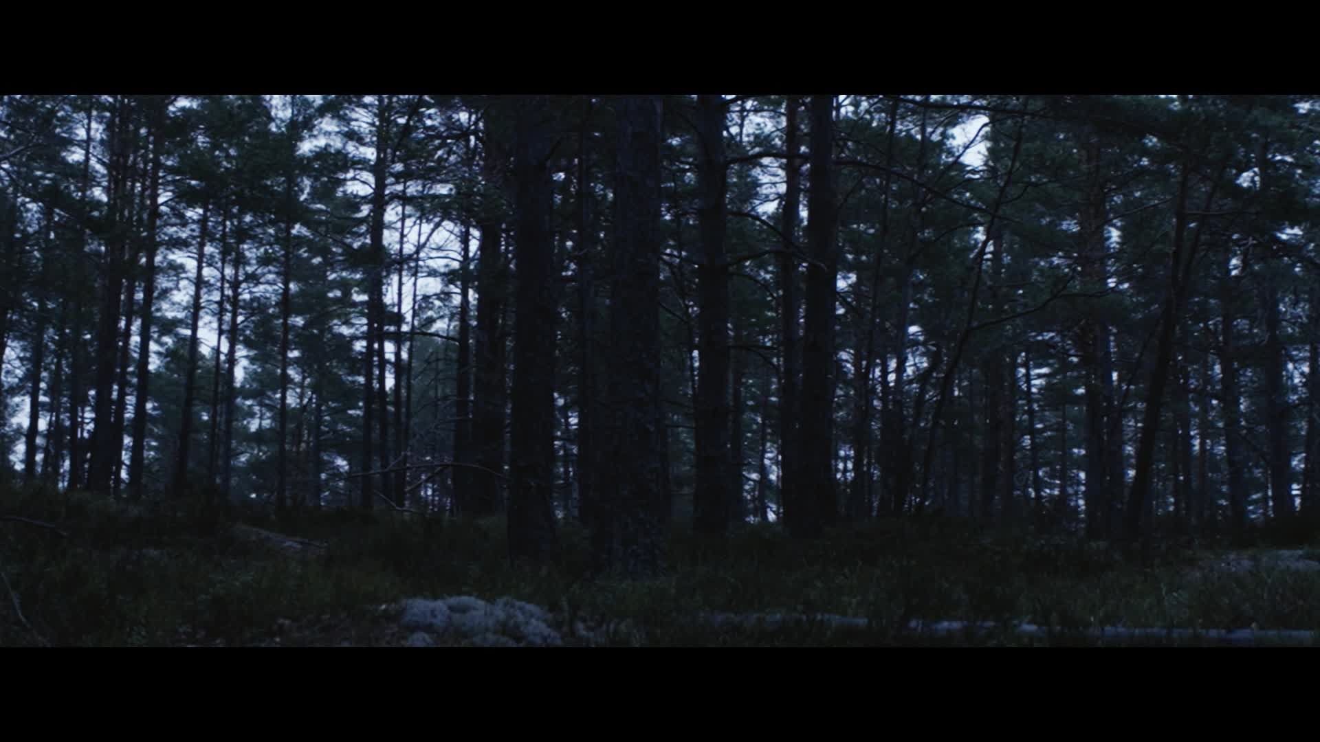 Ghosts of Things to Come