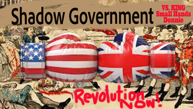 Revolution Now! Shadow Government